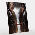 Quadro Decorativo Cavalo Canvas 50x70 - Foto Paulista