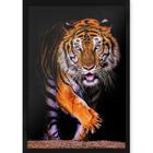 Quadro Decorativo com Moldura e Impressão em Vidro Animais Tigre Passos Lentos