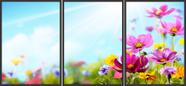 Quadro Decorativo Conjunto de 3 Quadros Flores Coloridas
