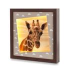 Quadro Decorativo Coração de Mãe com Luz Fotos Bichos