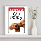 Quadro Decorativo Cuidado Cão Doido 24X18Cm - Com Vidro