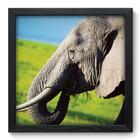 Quadro Decorativo - Elefante - 33cm x 33cm - 119qdsp