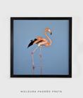 Quadro Decorativo Flamingo - Poster
