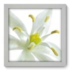 Quadro Decorativo - Flor - 22cm x 22cm - 010qnfab