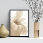 Quadro Decorativo Flor Bege Fundo Branco 45X34Cm