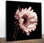 Quadro Decorativo Flor Elegante Only Flower Midiapoparte