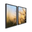 Quadro Decorativo Flores Dente de Leão com 2 Telas para Banheiro Quarto Hall 60cm X 90cm Com Vidro