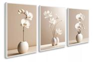 Quadro decorativo Flores Orquídea Bege Boho"