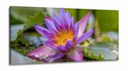 Quadro decorativo Flores - Paisagem Natureza - em Tecido Canvas 130x60