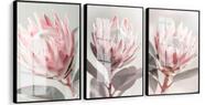 Quadro decorativo Flores Proteas Rosa "