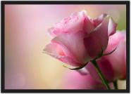 Quadro Decorativo Flores Rosa Paisagem Natureza Decorações Com Moldura G04