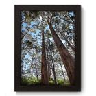 Quadro Decorativo - Floresta - 19cm x 25cm - 158qnpap