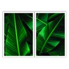 Quadro Decorativo Folhas Verdes Vertical 90x60 Sala Quarto