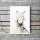 Quadro Decorativo Fotografia Cavalo Branco 45X34Cm - Vidro