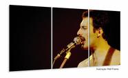 Quadro Decorativo Fred Mercury Queen Em Tecido 3 Peças