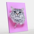 Quadro Decorativo Gato Canvas 50x70 - Foto Paulista