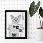 Quadro Decorativo Gato Lendo Jornal No Banheiro 24X18Cm