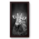 Quadro Decorativo - Girafa - 19cm x 34cm - 009qdsp