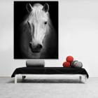 Quadro Decorativo Grande Animal White Horse - 150x80cm