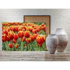 Quadro Decorativo Grande Floral Tulipa Sprengeri - 150x80cm