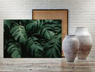 Quadro Decorativo Grande Vegetação Costela de Adão 004 - 100x70cm