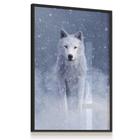 Quadro Decorativo Laminado Lobo Branco Neve Animal 43x63