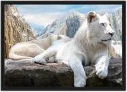 Quadro Decorativo Leão Branco Animais Decoração Com Moldura