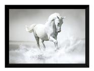 Quadro Decorativo Lindo Cavalo Branco Equino