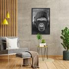 Quadro Decorativo Macaco Moderno Phone