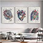 Quadro decorativo medicina anatomia corpo humano vintage moderno