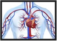 Quadro Decorativo Medicina Médicos Coração Consultórios Decorações Com Moldura