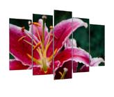 Quadro Decorativo Mosaico 5 Peças Mod059 Flor Lírios Rosa