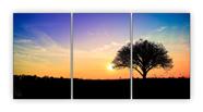 Quadro Decorativo Mosaico Paisagem Natural Por Do Sol