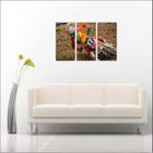 Quadro Decorativo Motos Motocross Decorações Com 3 peças Com Moldura