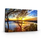 Quadro Decorativo Natureza Arvore Por do Sol 60x40 Grande