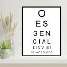 Quadro Decorativo O Essencial É Invisível Aos Olhos 34x23cm