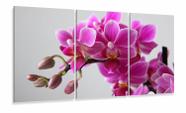 Quadro Decorativo Orquidia Rosa Sala Quarto 120x60 cm