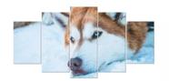 Quadro Decorativo Painel Cão Husky Siberiano Na Neve"