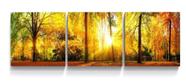 Quadro Decorativo Painel Mosaico Folhas Luz Sol Floresta Outono"