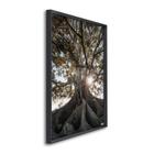 Quadro Decorativo Paisagem Árvore e Raios de Sol com 1 Tela Cm ou Cm de Parede para Escritório Banhe Preto