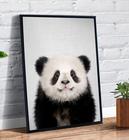 Quadro Decorativo Infantil Panda Fofo Desenho Animais - Tribos - Quadro  Decorativo - Magazine Luiza
