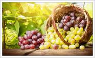 Quadro Decorativo Para Cozinhas Frutas Uva Vinhos Gourmet Mercados Decorações Moldura Branca Q01