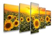 Quadro Decorativo Para Sala Amanhecer Plantação De Girassol