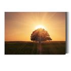 Quadro Decorativo para Sala Quarto Arvore da vida Galhos 130x90