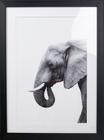 Quadro Decorativo Perfil Elefante Preto E Branco 60x45 Cm