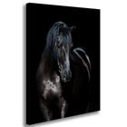 Quadro Decorativo Sala Escritório Fazenda Cavalgada 60cmX85cm