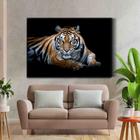 Quadro Decorativo Sala   Tigre Fundo Preto 90x60