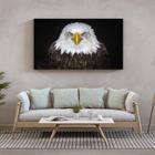 Quadro Decorativo Tela Canvas Animais Bald Eagle - 90x60 cm