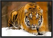 Quadro Decorativo Flutuante Animal Selvagem Tigre Deitado na Grama