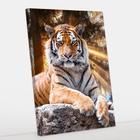 Quadro Decorativo Tigre Canvas 60x90 - Foto Paulista